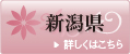 新潟県