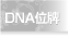 DNA�ʔv